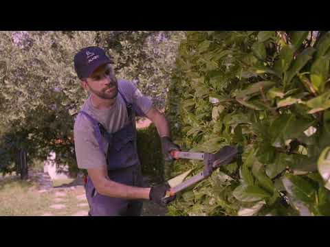 Falket 10066/A Troncarami a cuneo lama curva Special Lever professionale