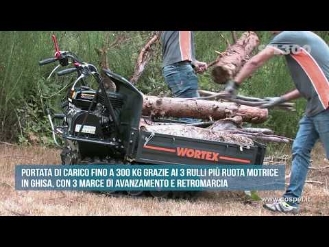 Motocarriola Wortex 300 SFL